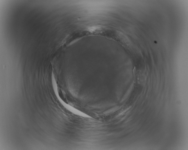 X0000074041298200609181942