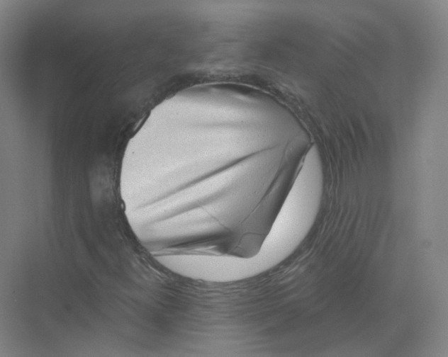 X0000074041300200609181942