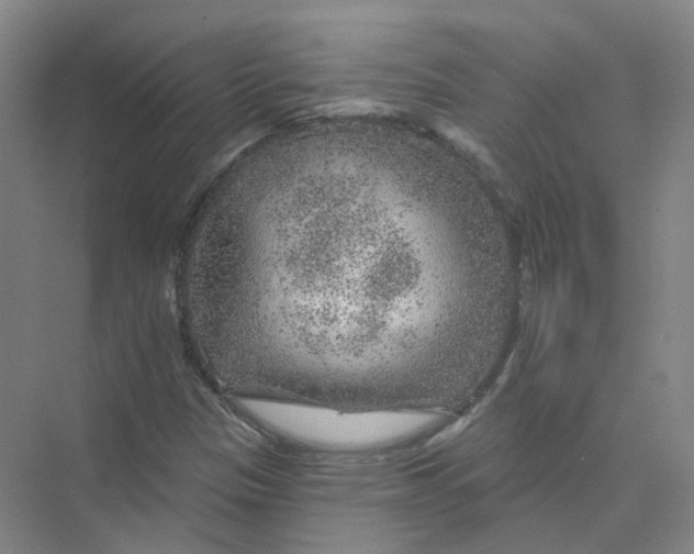 X0000074041305200609181942