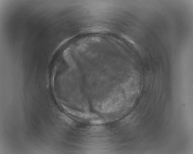 X0000074041306200609181942