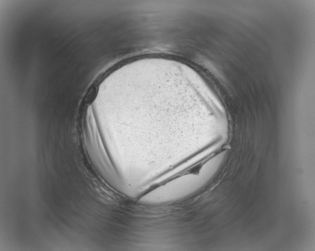 X0000074041308200609181942