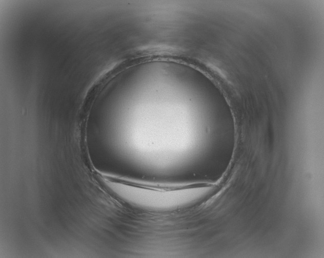 X0000074041309200609181942