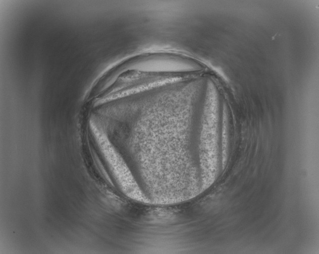 X0000074041311200609181942