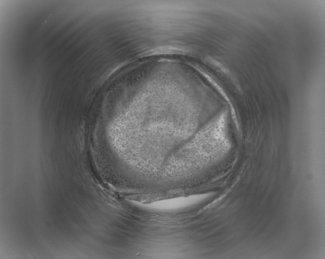 X0000074041313200609181942