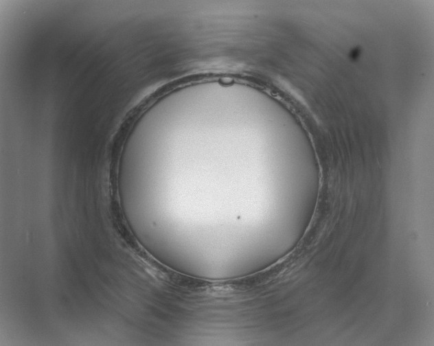 X0000074041315200609181942