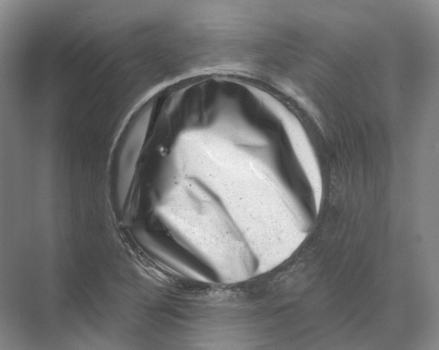 X0000074041316200609181942