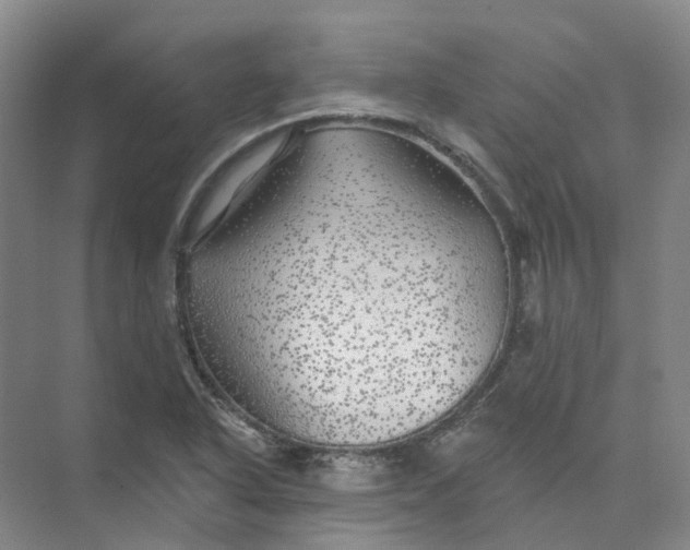 X0000074041318200609181942