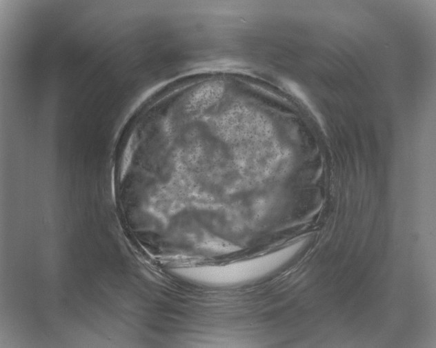 X0000074041320200609181942