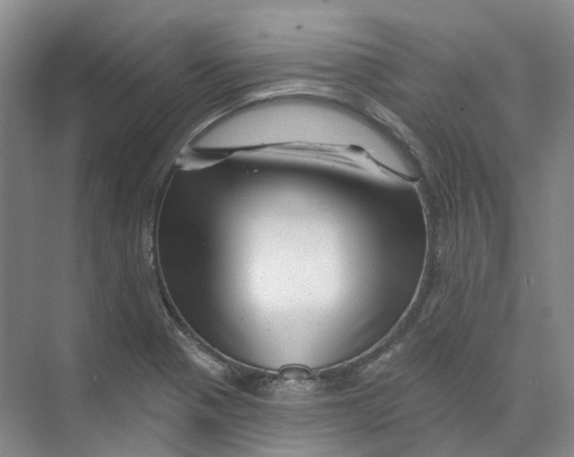 X0000074041321200609181942