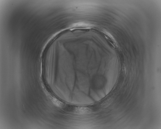 X0000074041323200609181942