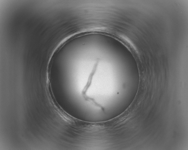 X0000074041324200609181942