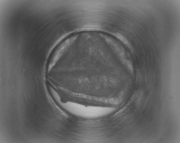 X0000074041325200609181942