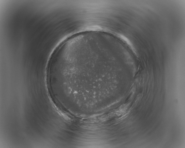 X0000074041326200609181942