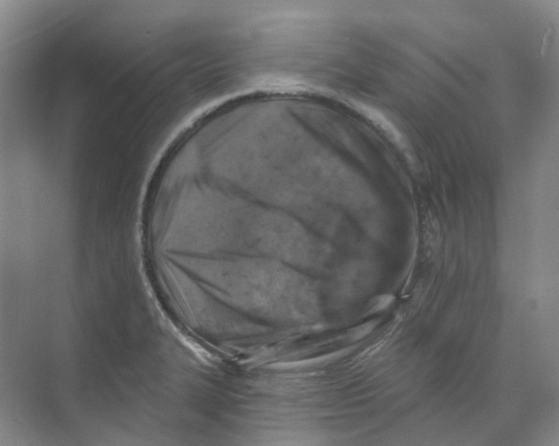 X0000074041327200609181942