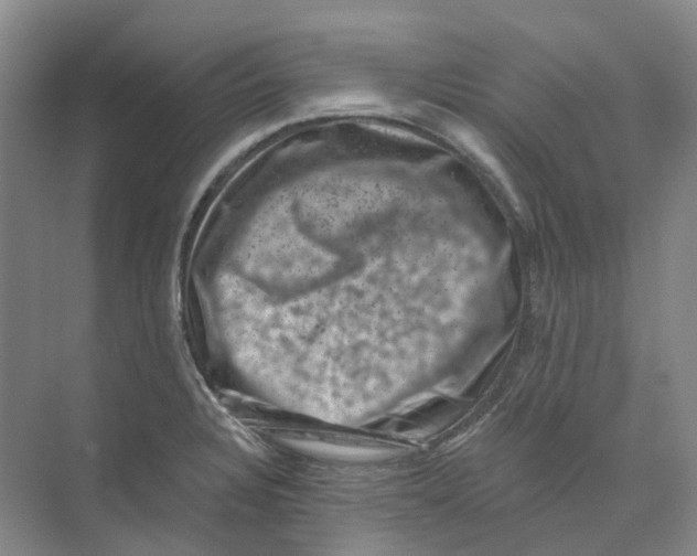 X0000074041328200609181942