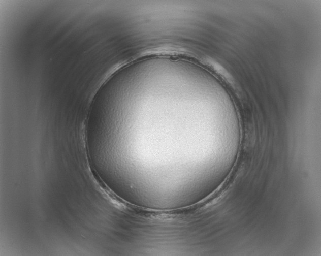 X0000074041329200609181942