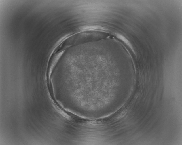 X0000074041330200609181942