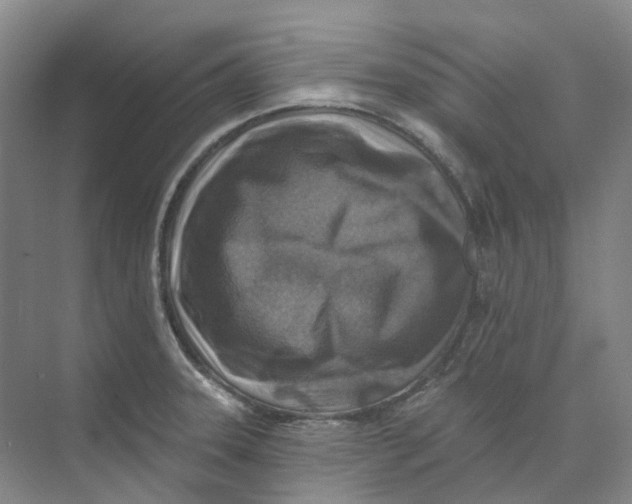 X0000074041331200609181942