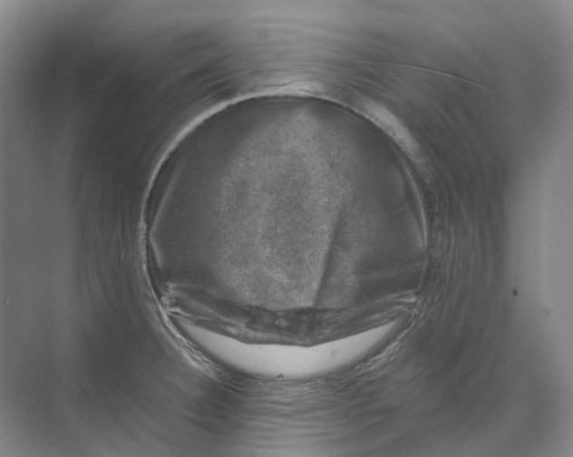 X0000074041332200609181942