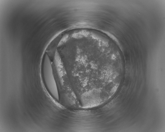 X0000074041333200609181942