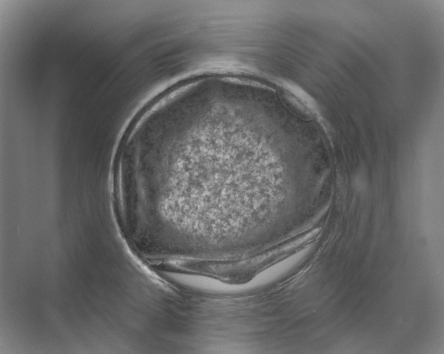 X0000074041335200609181942