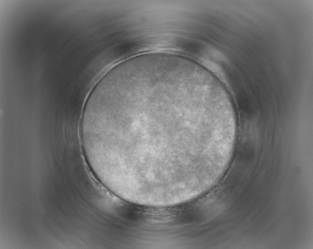 X0000074041338200609181942