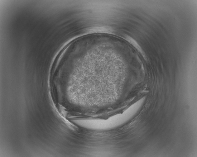 X0000074041339200609181942