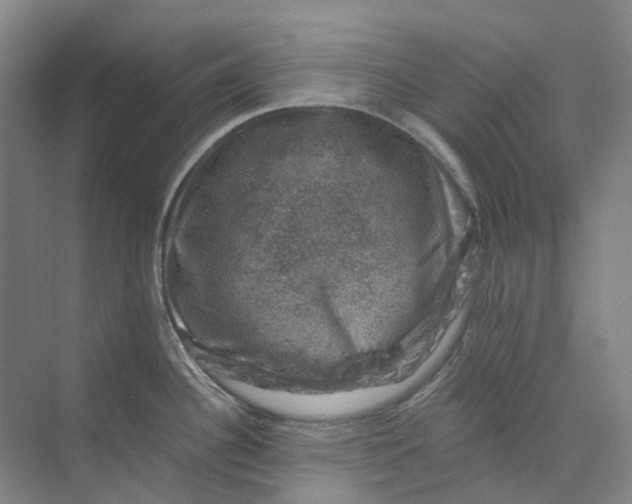 X0000074041340200609181943