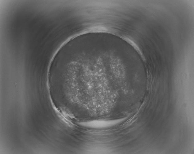 X0000074041342200609181943