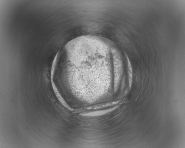 X0000074041346200609181942