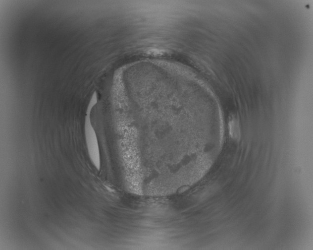 X0000074041347200609181942