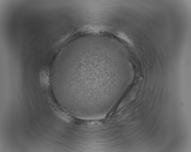 X0000074041348200609181942