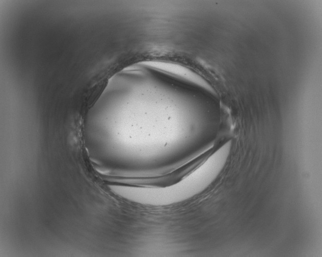 X0000074041349200609181942