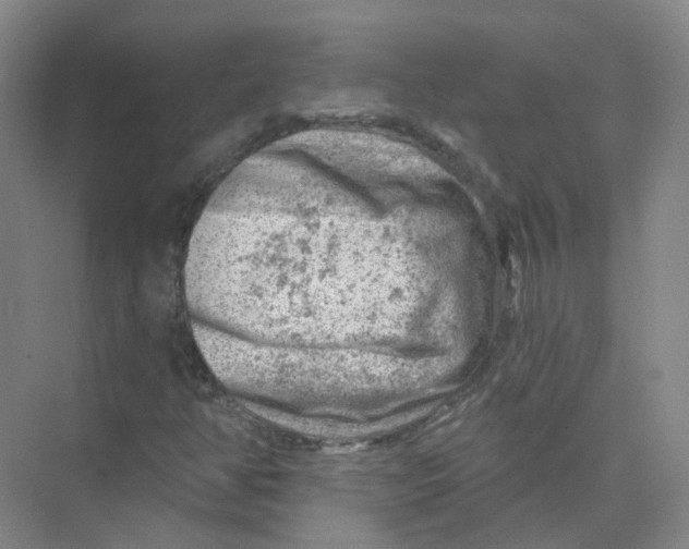 X0000074041350200609181942