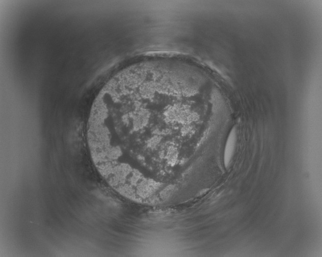 X0000074041351200609181942