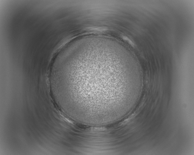 X0000074041354200609181942