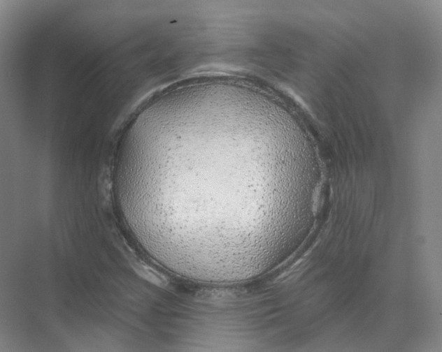 X0000074041355200609181942