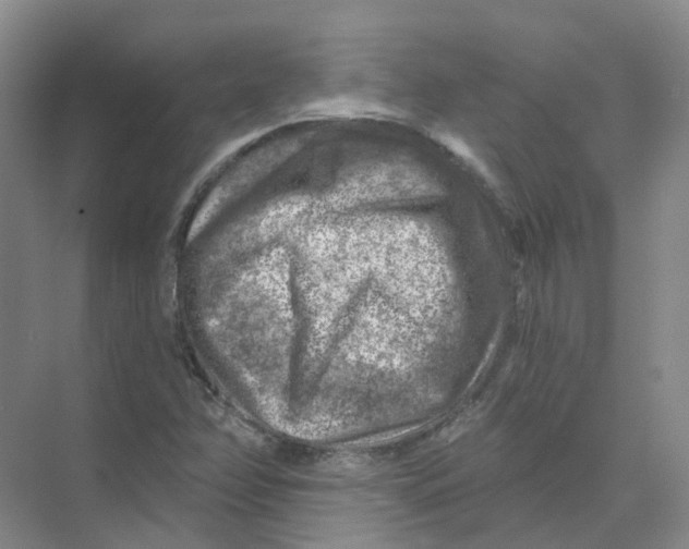 X0000074041358200609181942