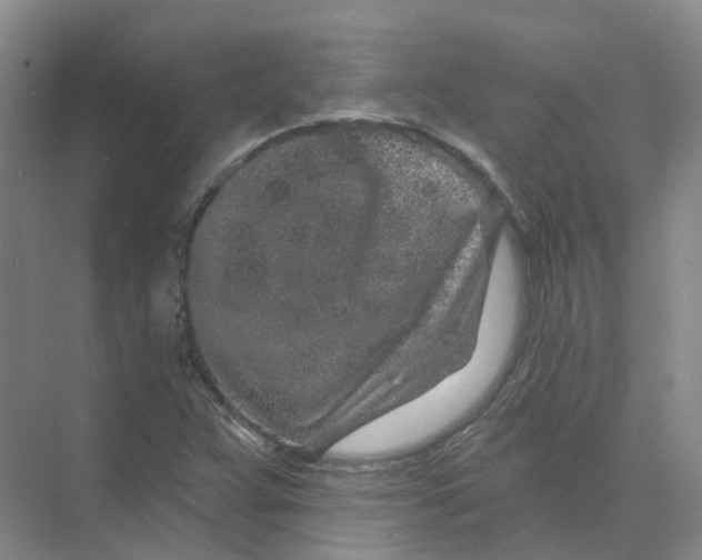 X0000074041359200609181942