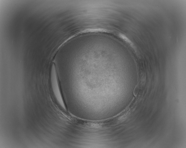 X0000074041361200609181941