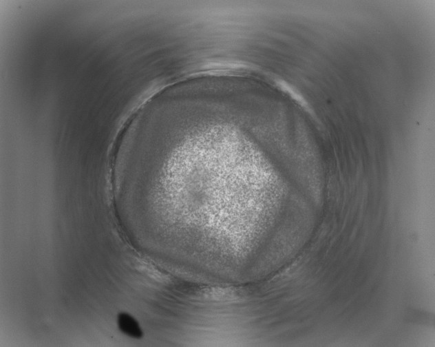 X0000074041362200609181941