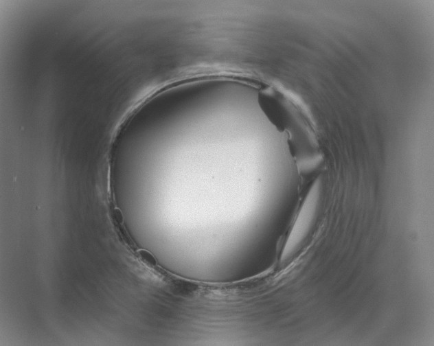 X0000074041365200609181941