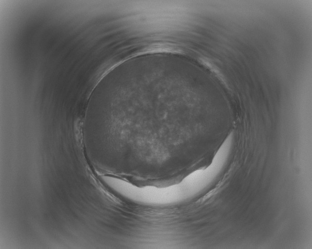 X0000074041369200609181941