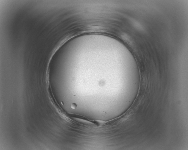 X0000074041370200609181941