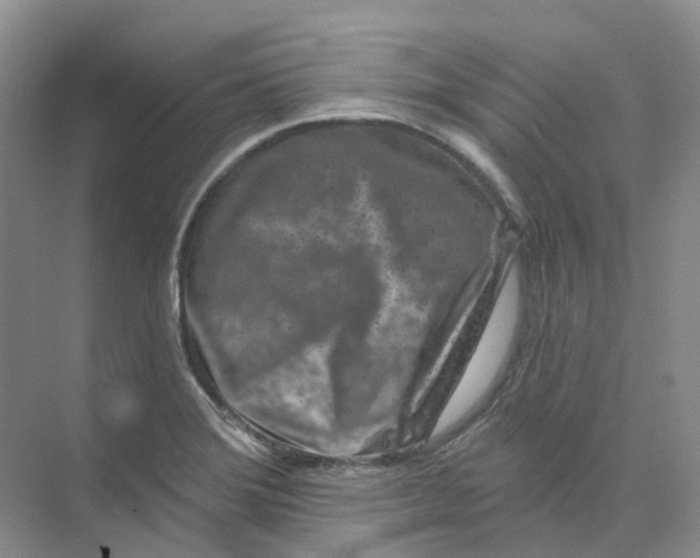 X0000074041372200609181941