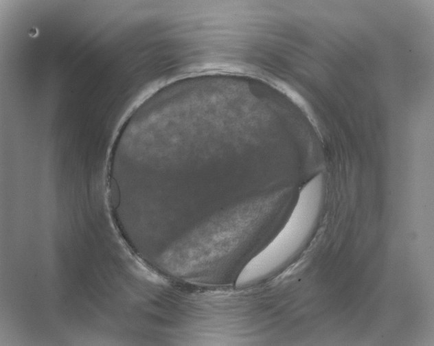 X0000074041373200609181941