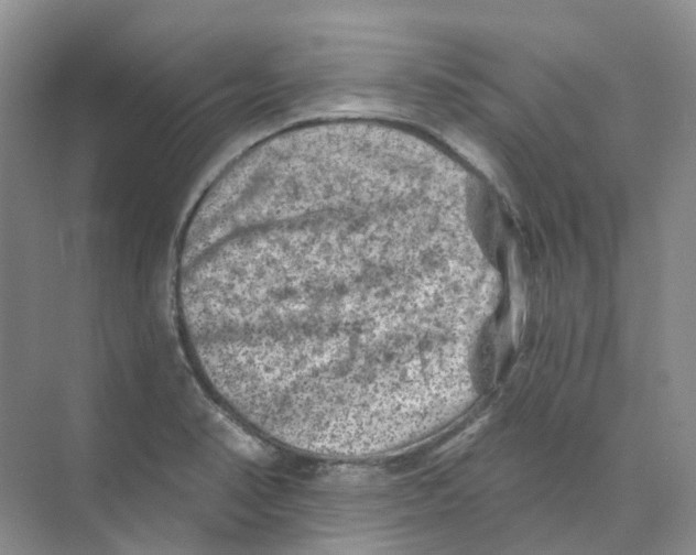 X0000074041374200609181941