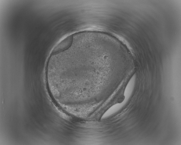 X0000074041375200609181941