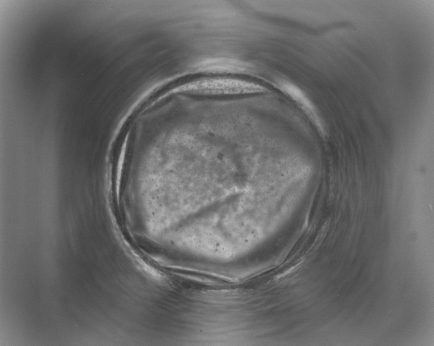 X0000074041376200609181941