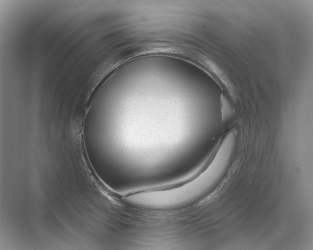 X0000074041377200609181941